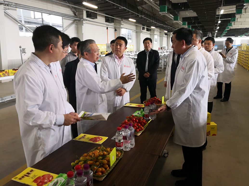 suncitygroup太阳集团(中国)-官方网站