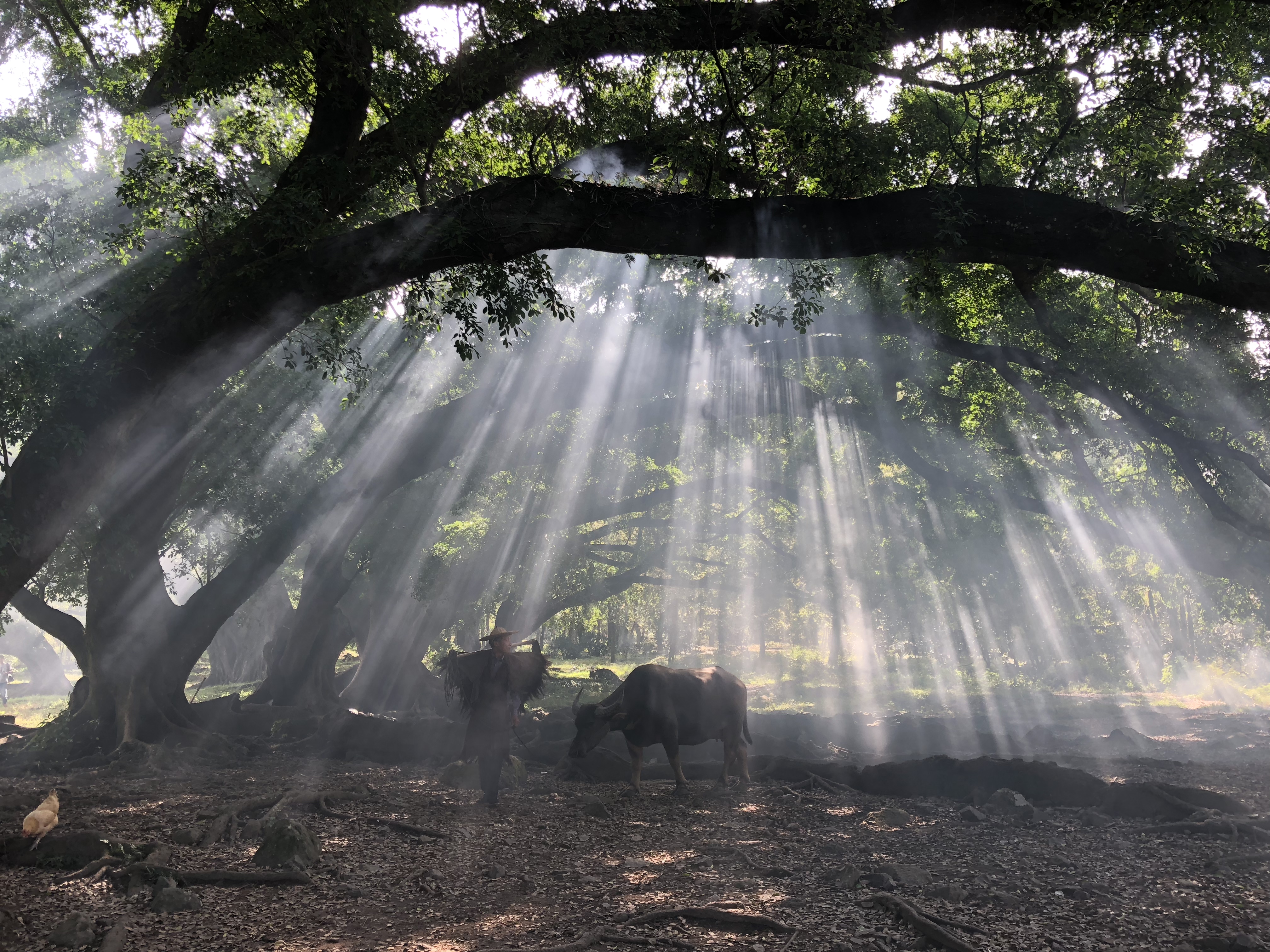 suncitygroup太阳集团(中国)-官方网站