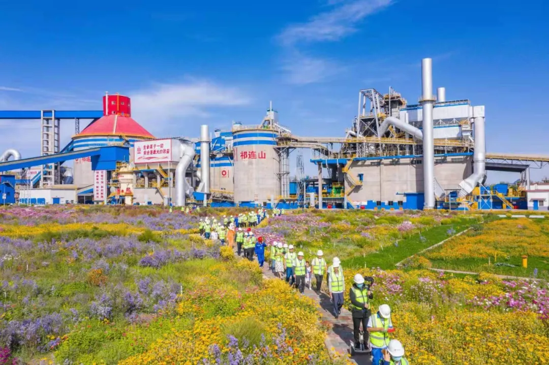 走进“善用资源日”盛开企业，来suncitygroup太阳集团花海工厂打卡吧！