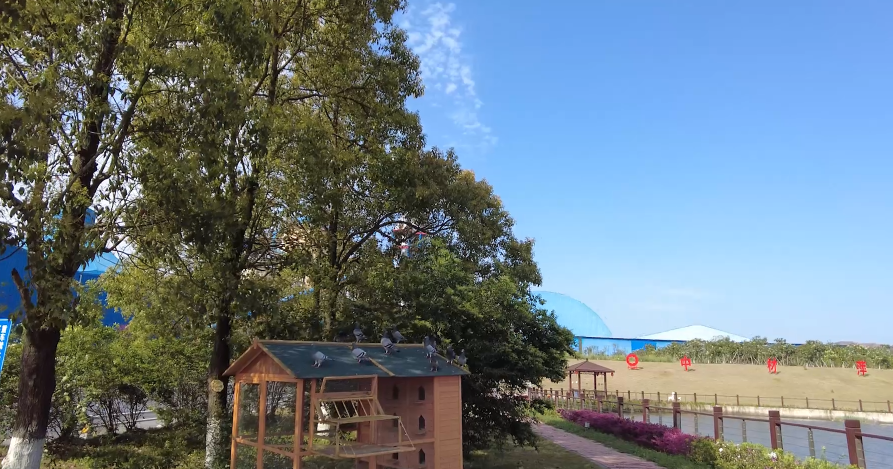 春来好时光，花圃工厂朝气勃勃