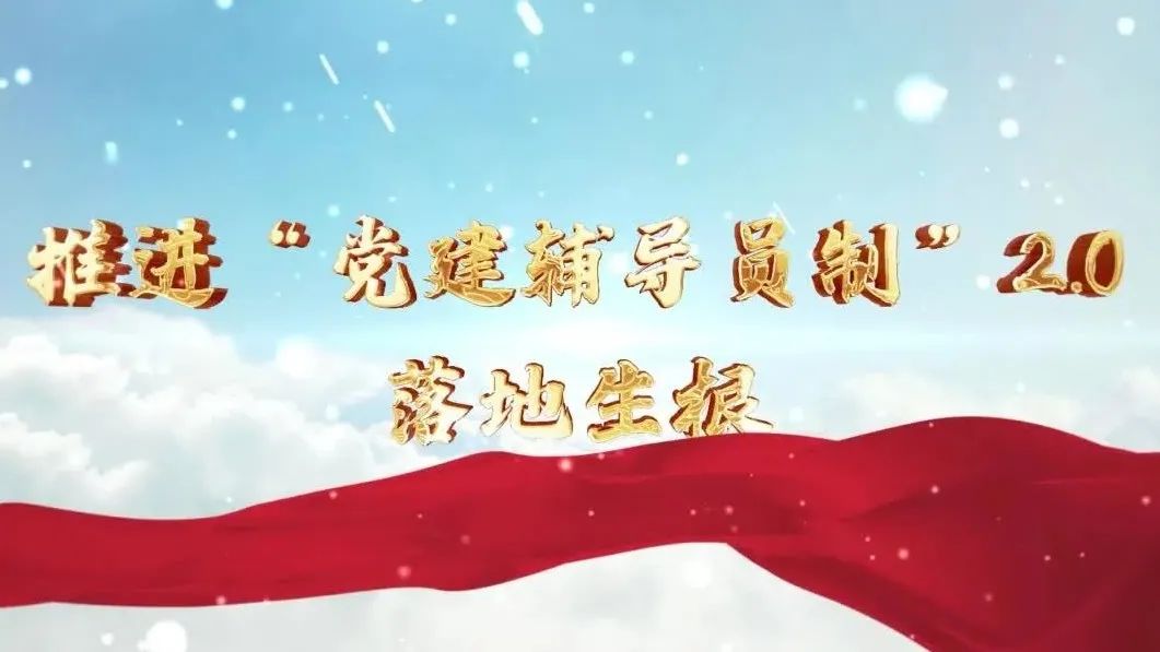  党建经营融合十佳案例④ | 西南水泥——“领导员造”+“进建型组织”，让党建成为看得见的“出产力” 