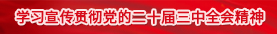 进建宣传贯彻党的二十届三中全会心灵