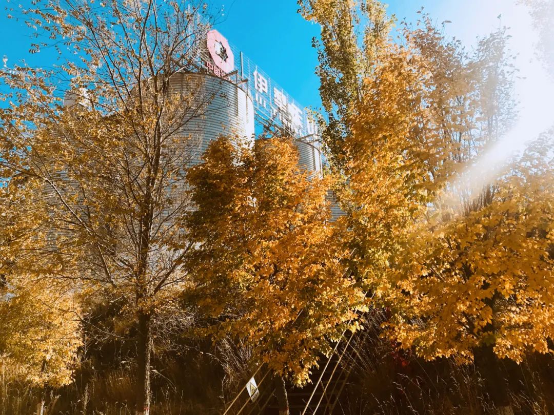 20201102093332909412