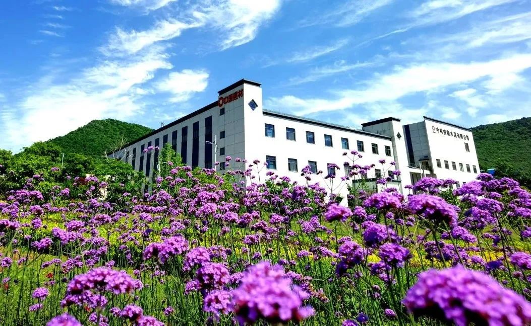 20211117103003067313