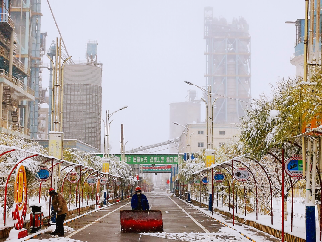 20210126100239421710