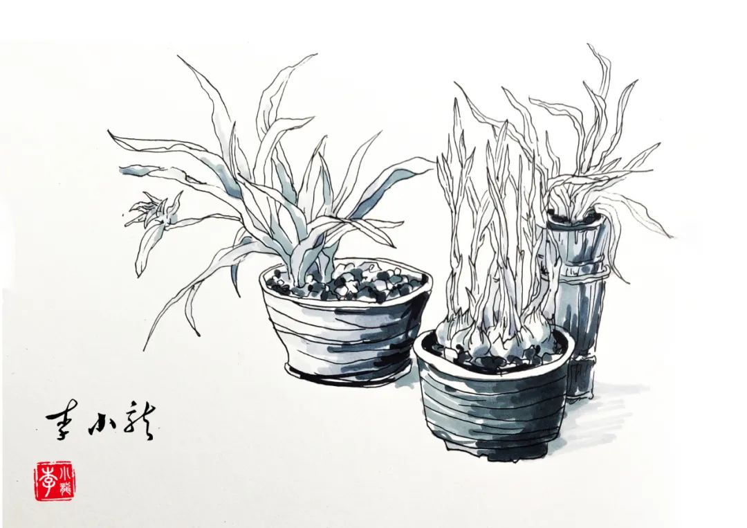 20210222095252674222