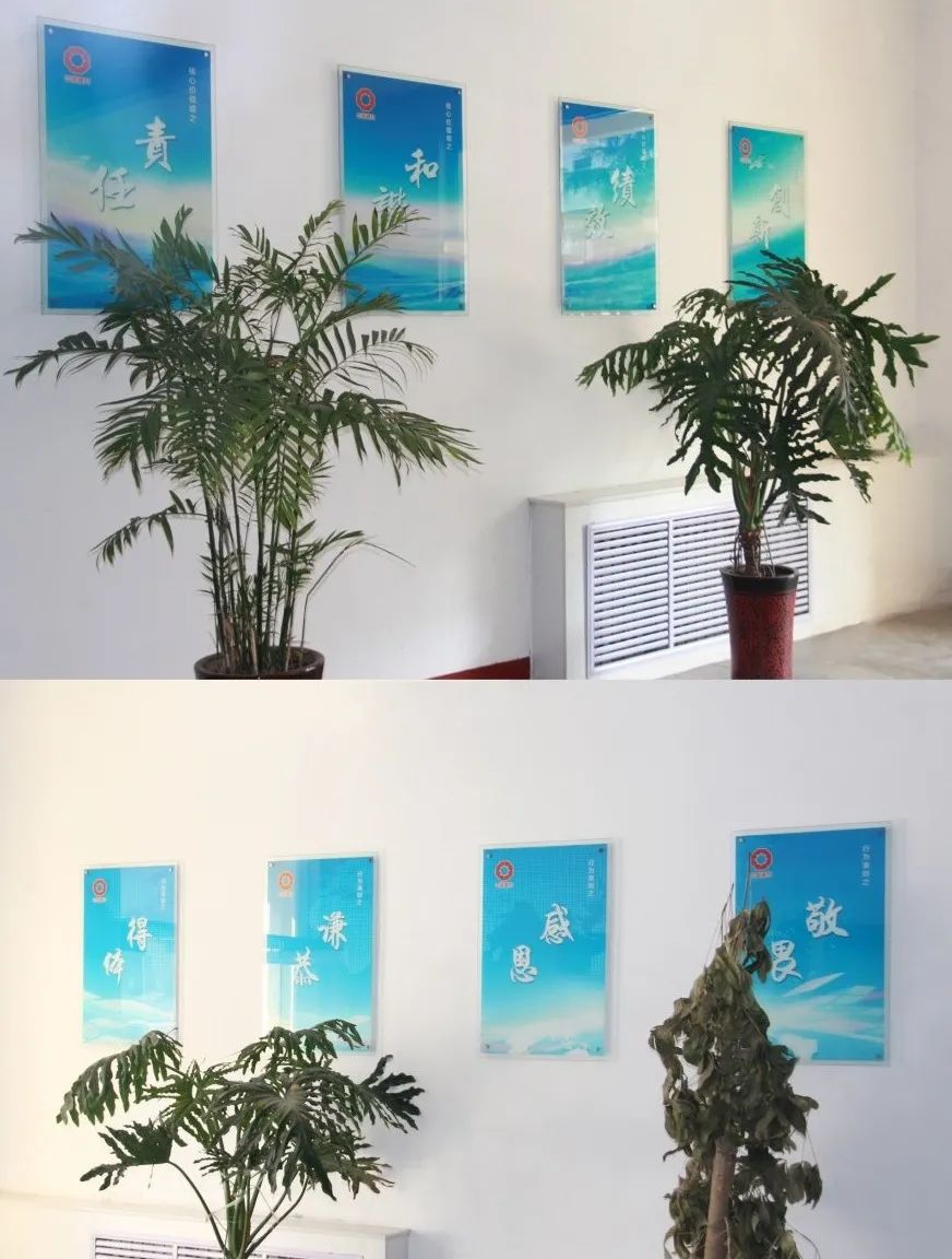 20210315091428700512