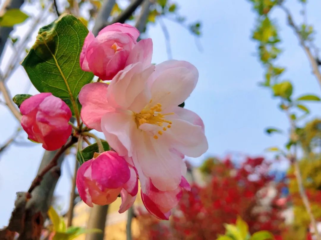 20210406105817925824