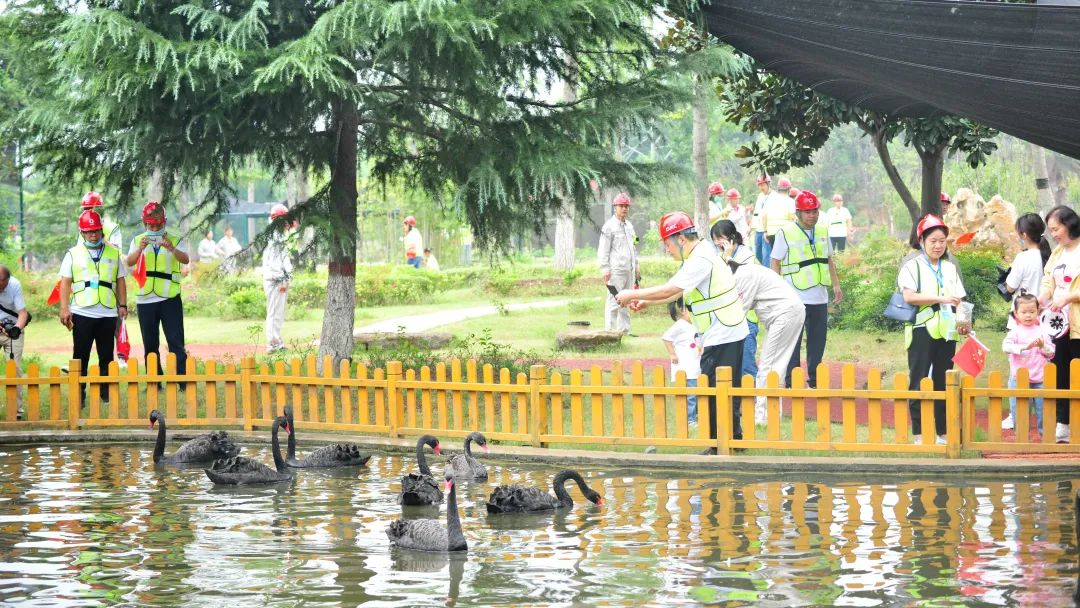 20211003125625076322