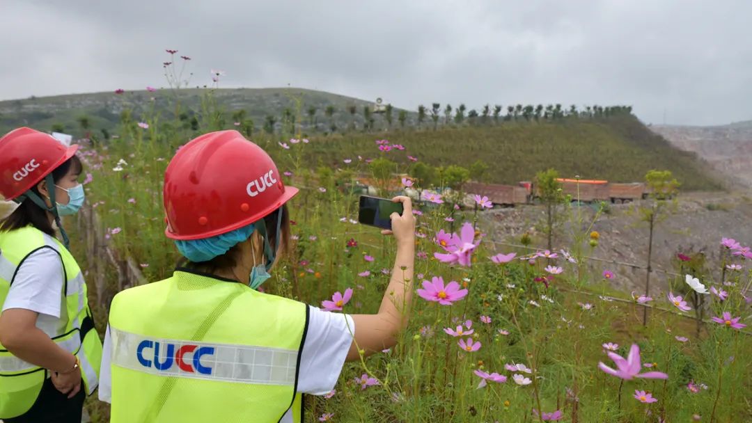 20211003125625497528