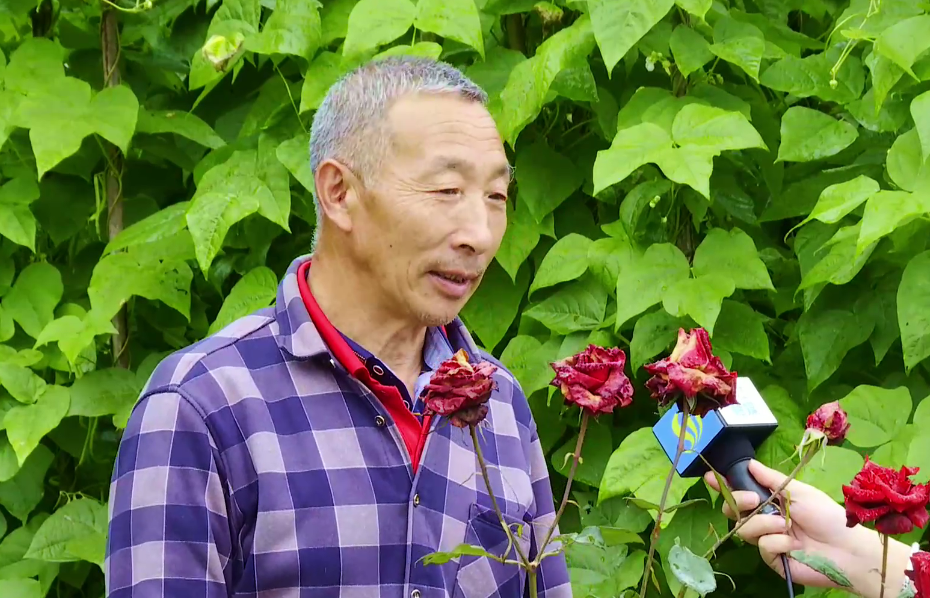 20220614174614336815