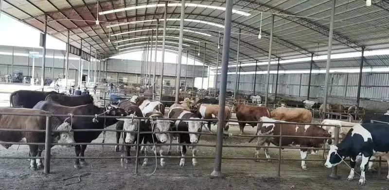 20221014112853167110