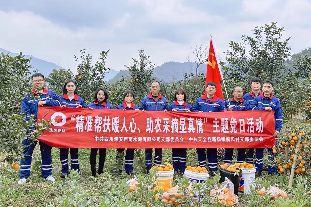 20230310110633292137