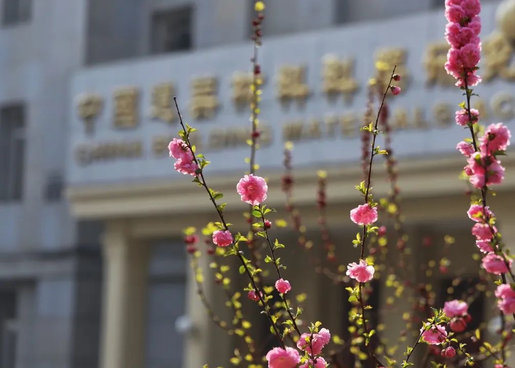 20230504114219870819