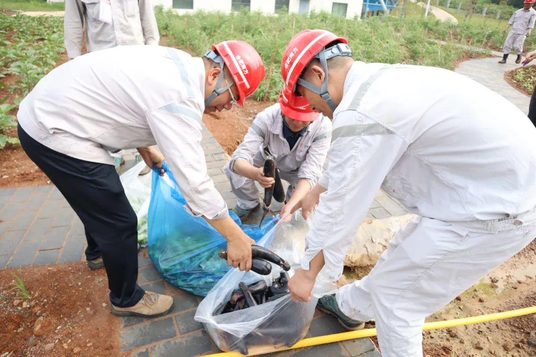 20230707172912187821