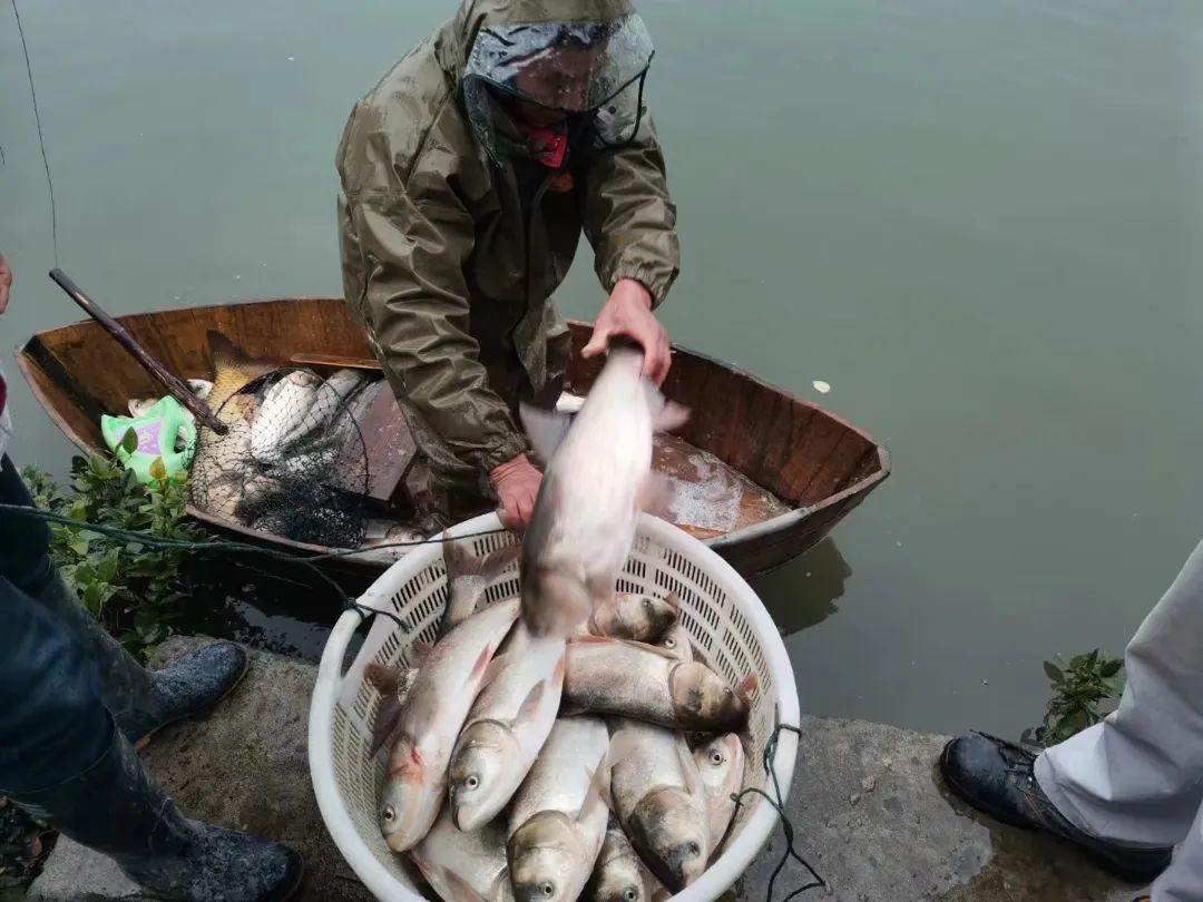 20230707172914871030