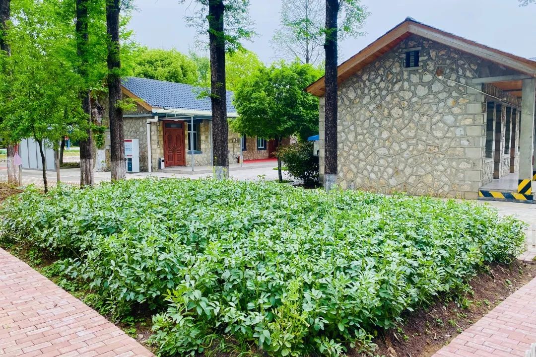 20230821094351926634