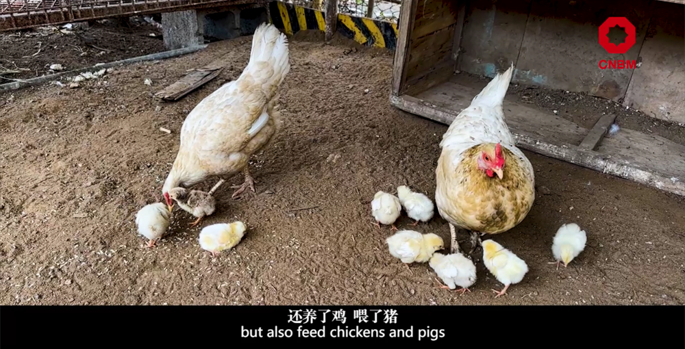 20230904102949215213