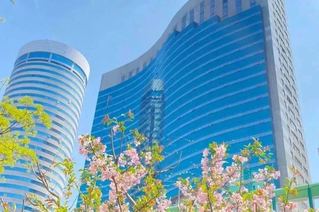 20231007102706032529