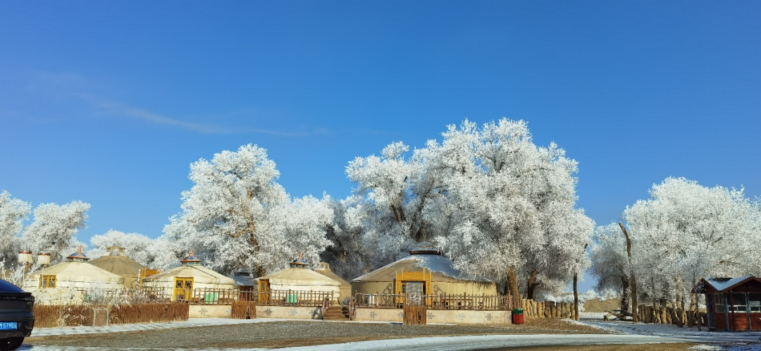 20240312092943874015