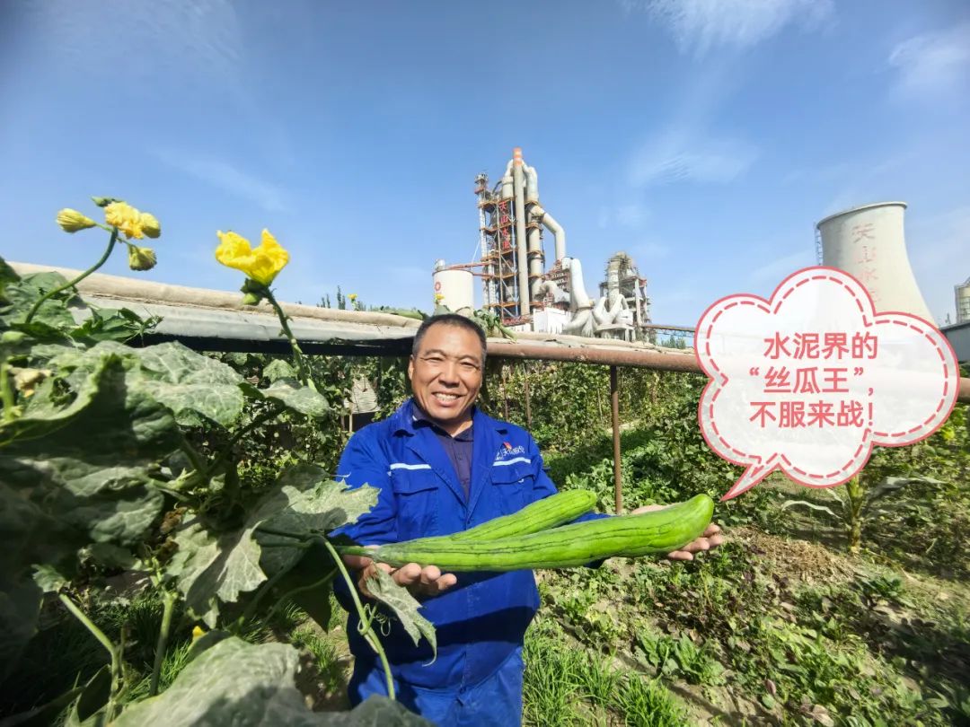 20241028114352077612