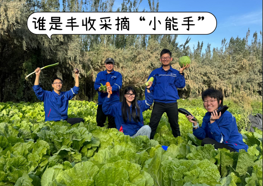 20241028114352151814