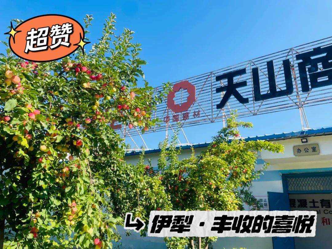 20241028114353129836