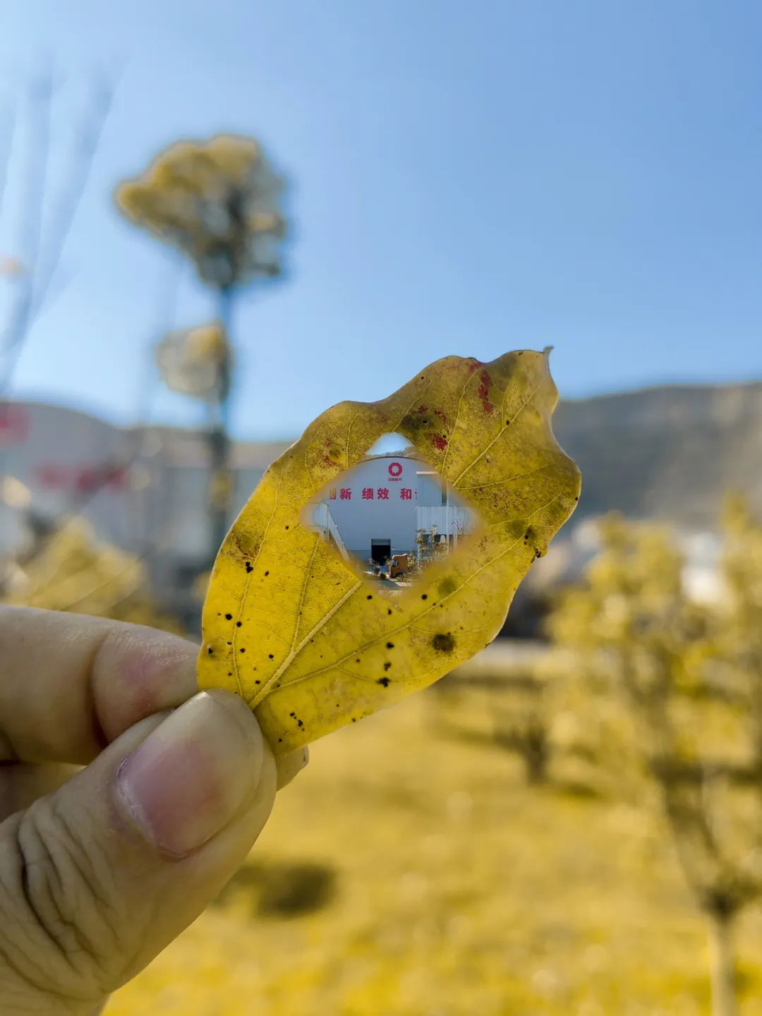 20241118161351168030