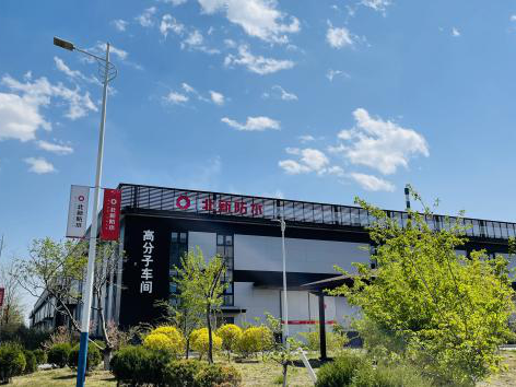 20241209113649010311