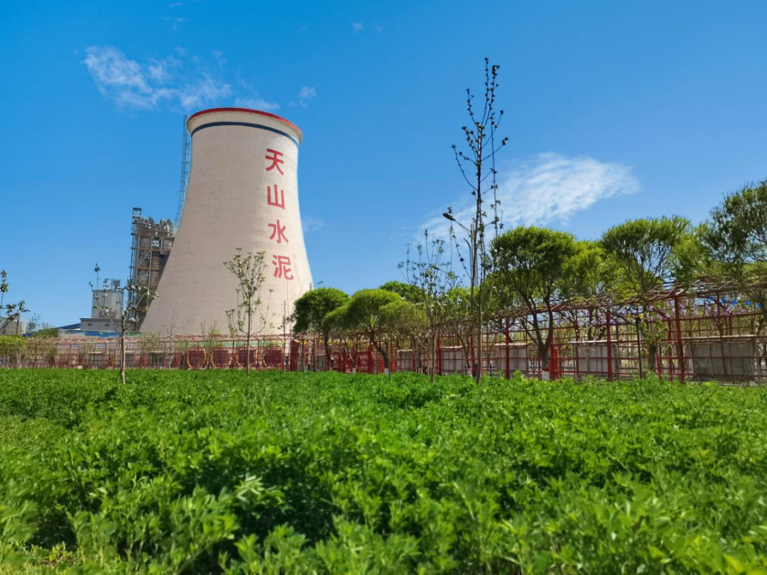 20250224094435038712