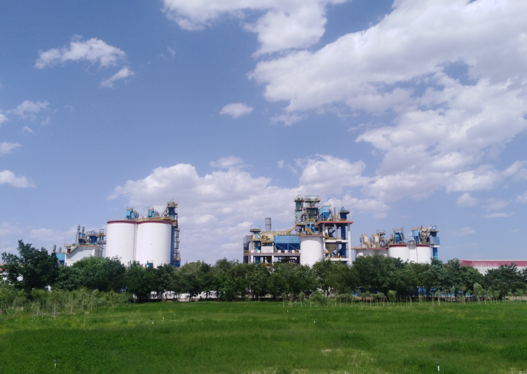 20250313100807675316