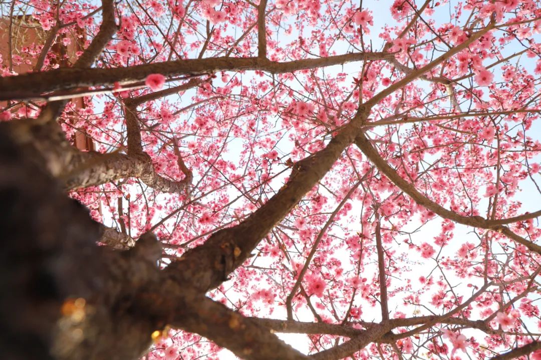 20250421100318716014