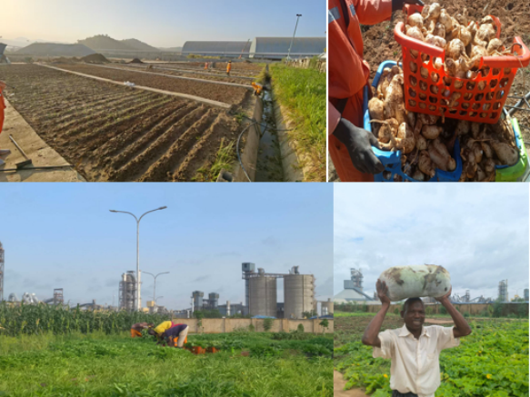 20260120104400896611